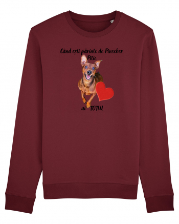 Iubitor de animale Pinscher Pitic Burgundy