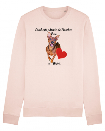 Iubitor de animale Pinscher Pitic Candy Pink