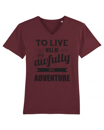 Viațe e aventură Burgundy