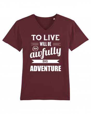 Viațe e aventură Burgundy