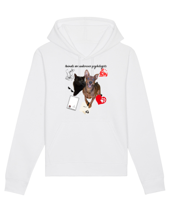 Animals are undercover psychologists White