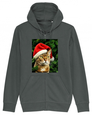 Cat in Christmas tree Anthracite