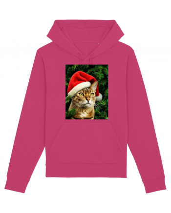 Cat in Christmas tree Raspberry