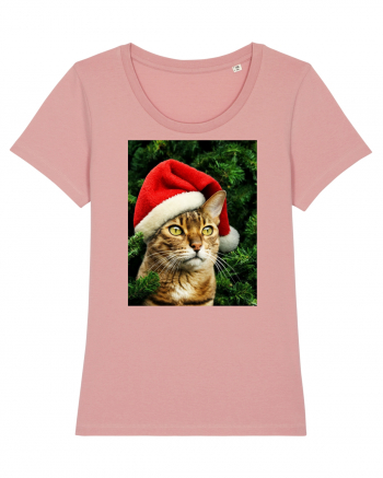 Cat in Christmas tree Canyon Pink