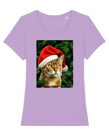 Cat in Christmas tree Lavender Dawn