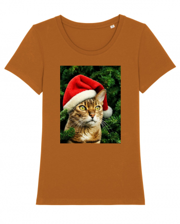 Cat in Christmas tree Roasted Orange