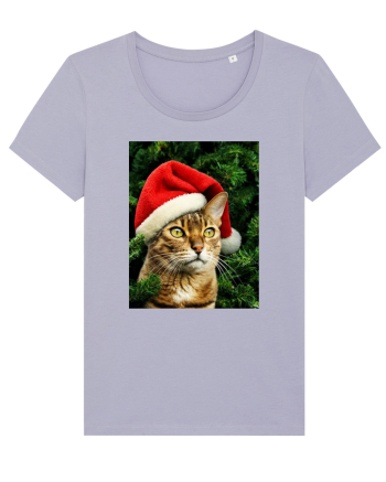 Cat in Christmas tree Lavender