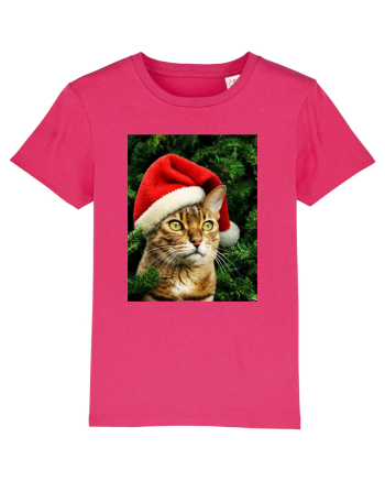 Cat in Christmas tree Raspberry