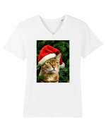 Cat in Christmas tree Tricou mânecă scurtă guler V Bărbat Presenter