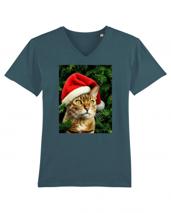 Cat in Christmas tree Stargazer