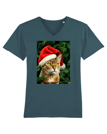 Cat in Christmas tree Stargazer