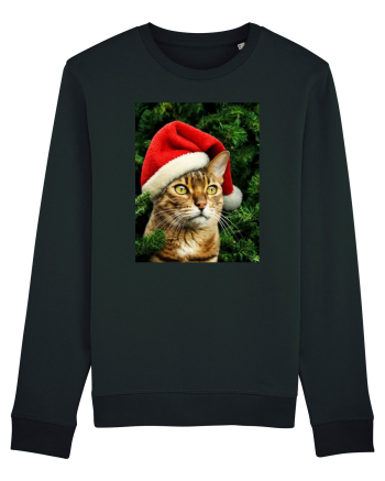 Cat in Christmas tree Black