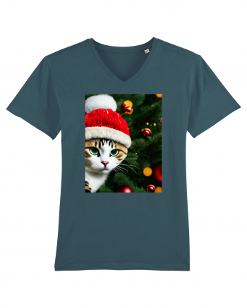 Cat in Christmas tree Stargazer