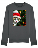 Cat in Christmas tree Bluză mânecă lungă Unisex Rise