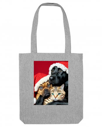 Dogs and cat in Christmas spirit  Heather Grey