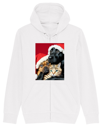 Dogs and cat in Christmas spirit  White
