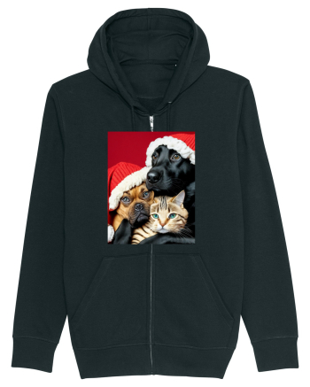 Dogs and cat in Christmas spirit  Black
