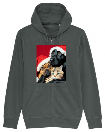 Dogs and cat in Christmas spirit  Anthracite