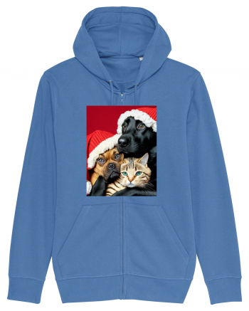 Dogs and cat in Christmas spirit  Bright Blue