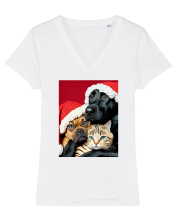 Dogs and cat in Christmas spirit  White