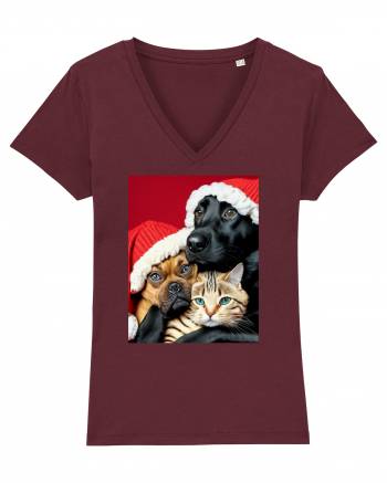 Dogs and cat in Christmas spirit  Burgundy