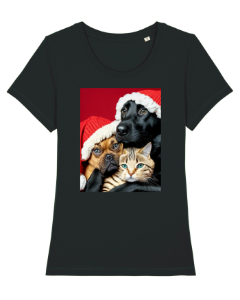 Dogs and cat in Christmas spirit  Black