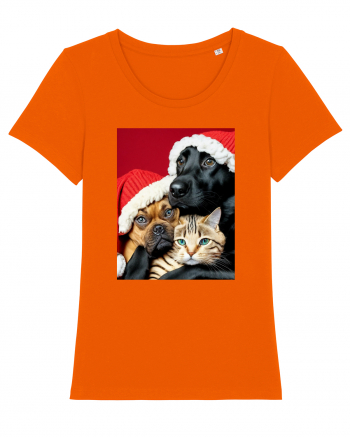 Dogs and cat in Christmas spirit  Bright Orange