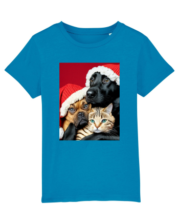 Dogs and cat in Christmas spirit  Azur
