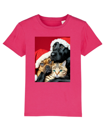 Dogs and cat in Christmas spirit  Raspberry