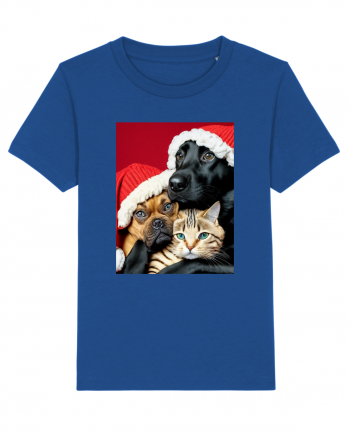 Dogs and cat in Christmas spirit  Majorelle Blue