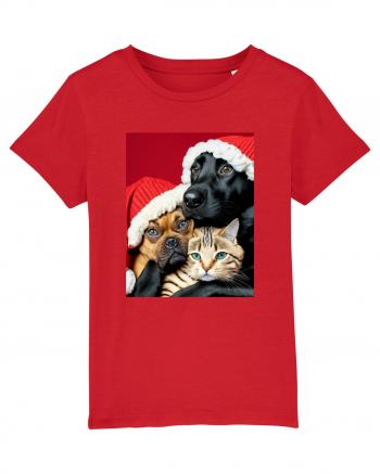 Dogs and cat in Christmas spirit  Red