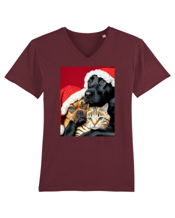 Dogs and cat in Christmas spirit  Burgundy