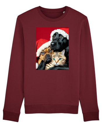 Dogs and cat in Christmas spirit  Burgundy