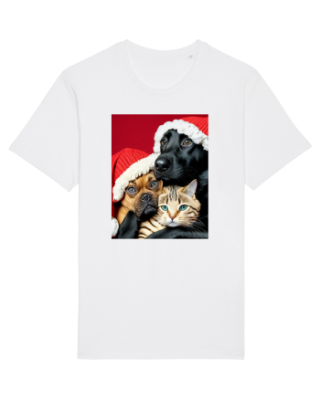 Dogs and cat in Christmas spirit  White