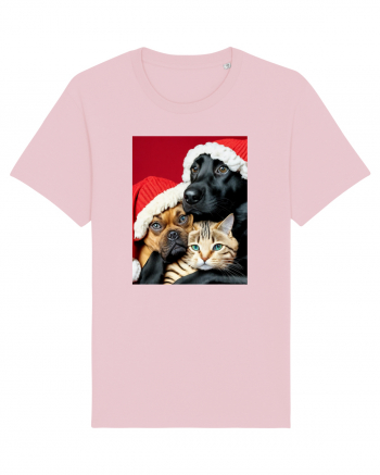 Dogs and cat in Christmas spirit  Cotton Pink