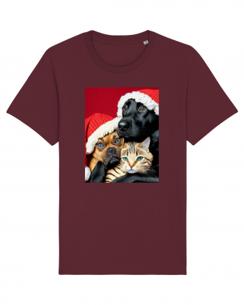 Dogs and cat in Christmas spirit  Burgundy