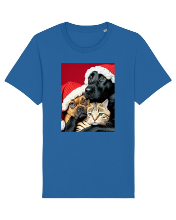 Dogs and cat in Christmas spirit  Royal Blue