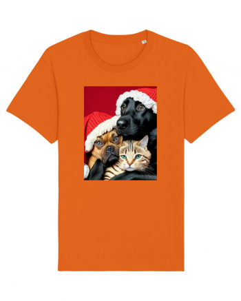Dogs and cat in Christmas spirit  Bright Orange