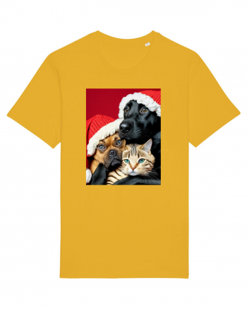 Dogs and cat in Christmas spirit  Spectra Yellow