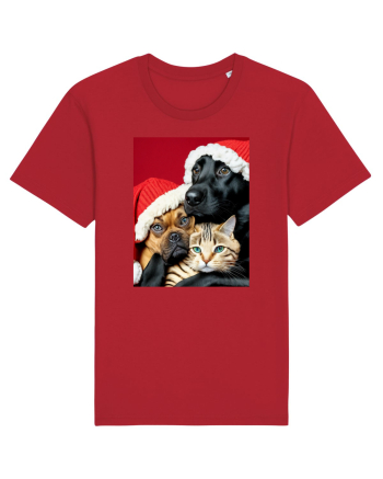 Dogs and cat in Christmas spirit  Red