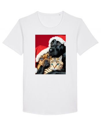 Dogs and cat in Christmas spirit  White