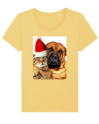 Dogs and cat in Christmas spirit Jojoba