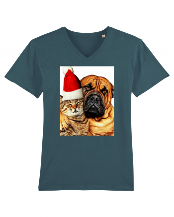 Dogs and cat in Christmas spirit Stargazer