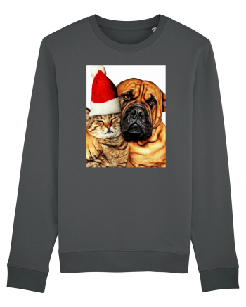 Dogs and cat in Christmas spirit Anthracite