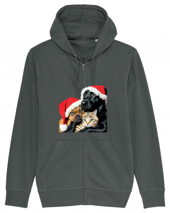 Dogs and cat in Christmas spirit Anthracite