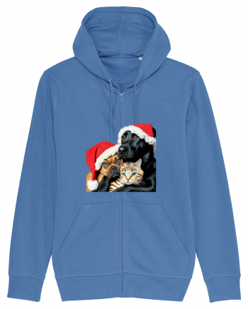 Dogs and cat in Christmas spirit Bright Blue