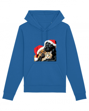 Dogs and cat in Christmas spirit Royal Blue