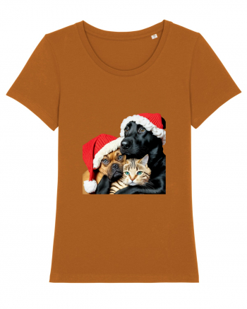 Dogs and cat in Christmas spirit Roasted Orange