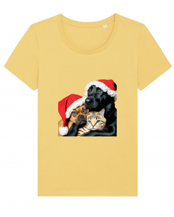 Dogs and cat in Christmas spirit Jojoba