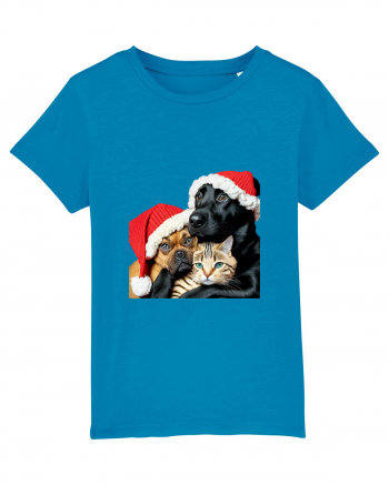 Dogs and cat in Christmas spirit Azur